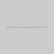 Image of Rat Rubella virus antibody IgA ELISA Kit